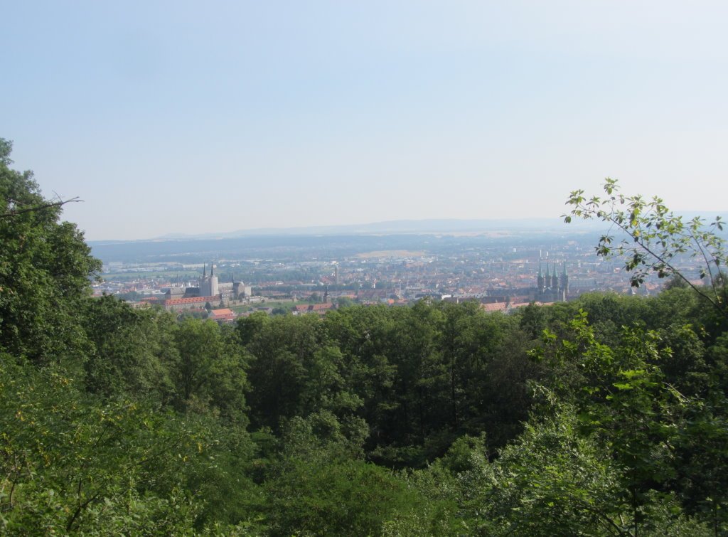 Immobilienmakler f�r Bamberg