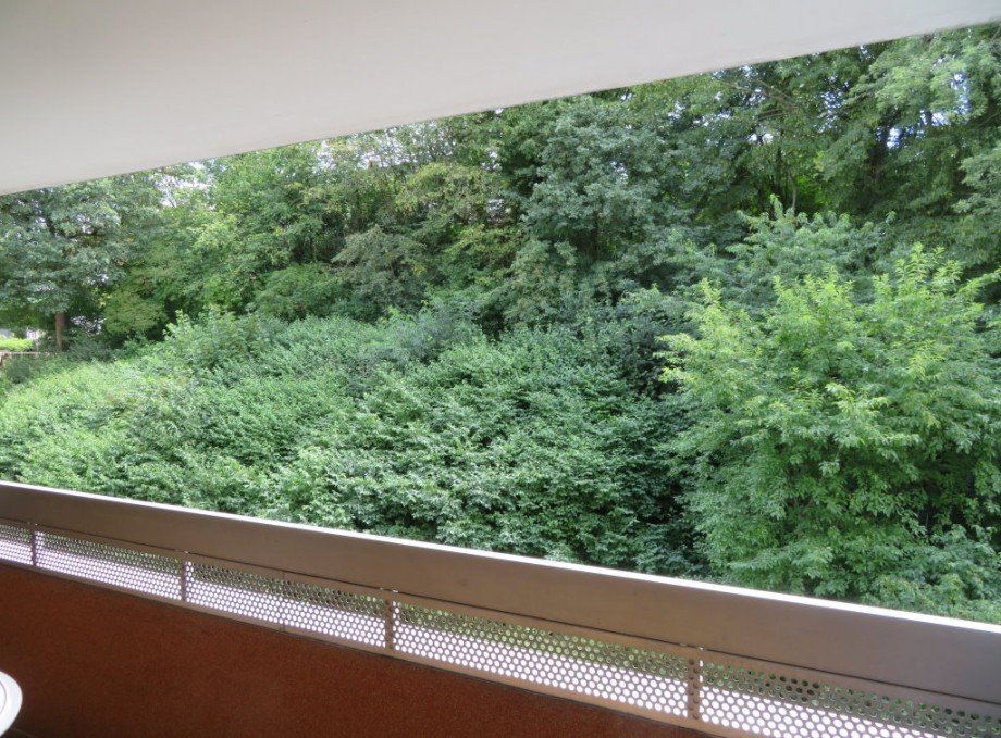 3 Blick ins Gr�ne Wohnung Bamberg