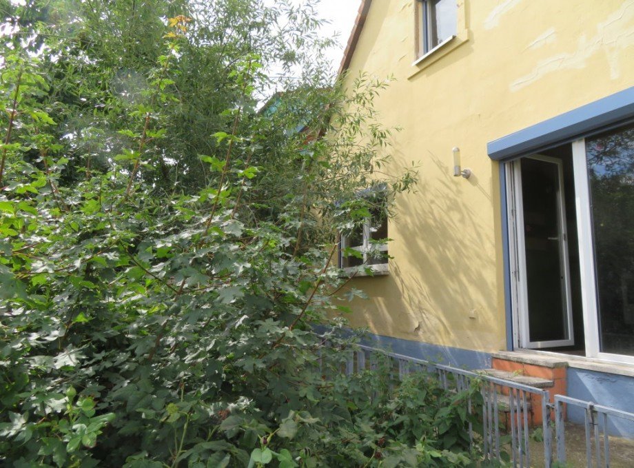 3 kleiner Garten Haus Bischberg