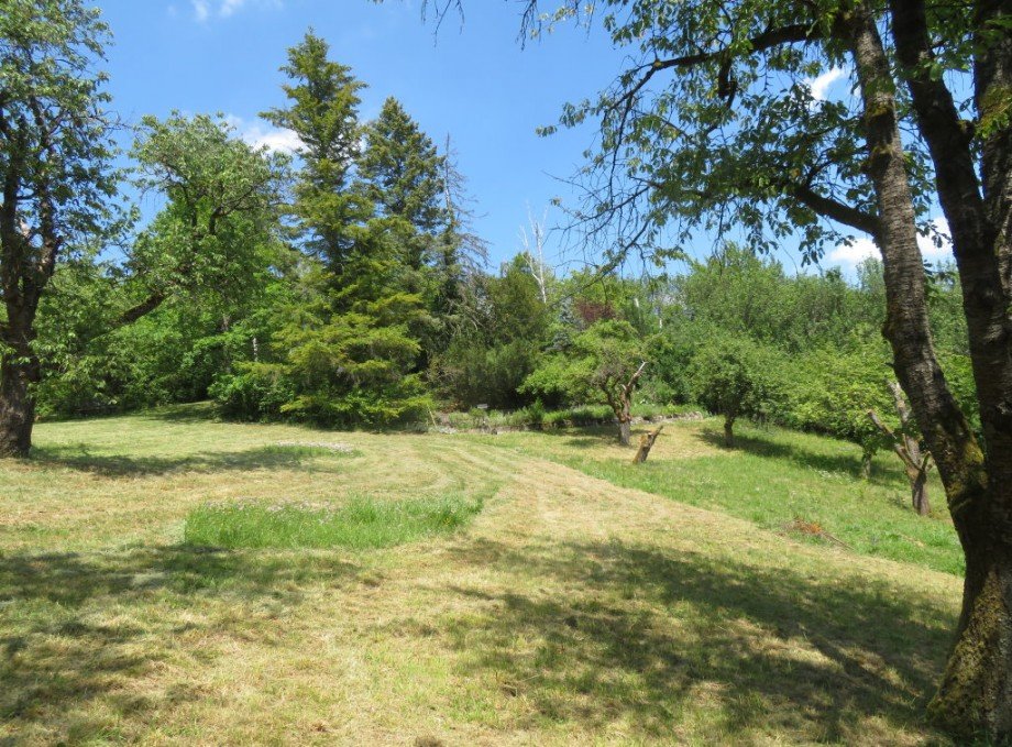 14 Grundst�ck Freizeitgrundst�ck Hallstadt