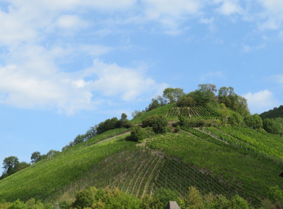 4 Blick Zeller Weinberge Mehrfamilienhaus Oberschleichach