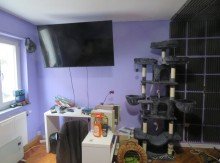 24 Schlafzimmer BAMBERG-N�HE FINANZAMT: MODERNISIERTE 3-ZIMMER-WOHNUNG(=AB JUNI FREI) MIT BALKON F�R 235.000,-EURO