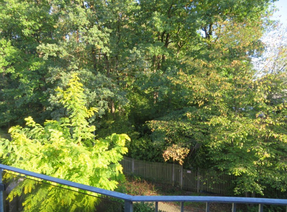 19 Blick vom Balkon Wohnung Bamberg