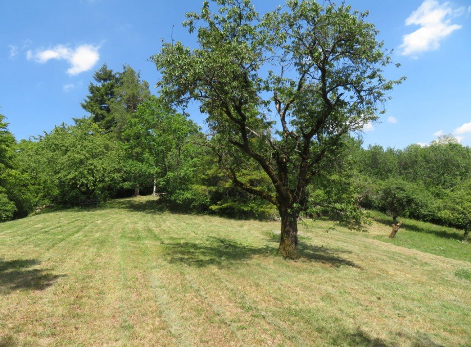 12 Grundst�ck Freizeitgrundst�ck Hallstadt