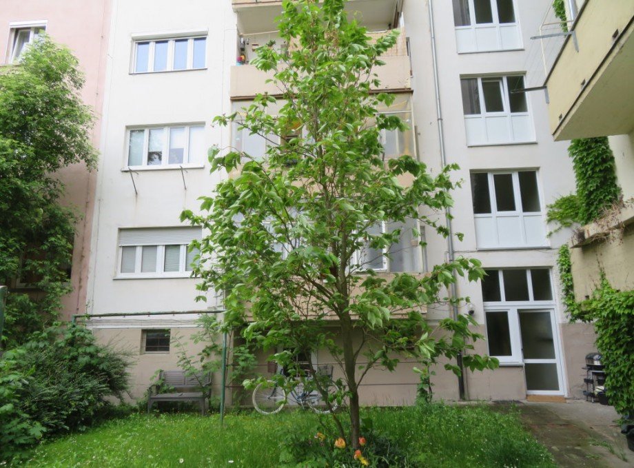 3 Garten R�ckgeb�ude Wohnung Bamberg