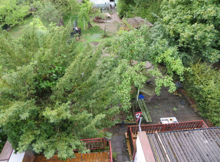 4 Ansicht Garten Haus Bamberg