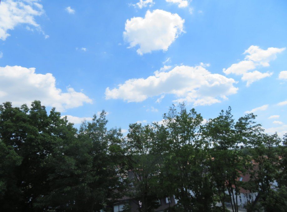 4 Blick ins Gr�ne Wohnung Bamberg