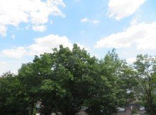 15 Blick vom Balkon ins Gr�ne BAMBERG-OST-N�HE BAMBADOS: MODERNISIERTE 3-ZIMMER-WOHNUNG(=SOFORT FREI) MIT BALKON F�R 229.000,-EURO