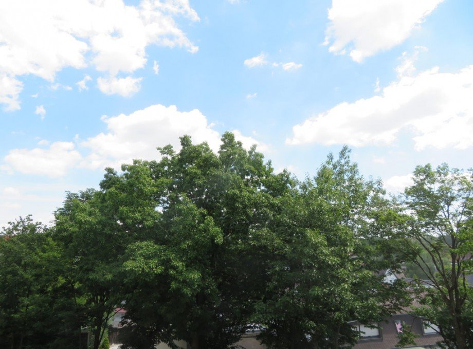 15 Blick vom Balkon ins Gr�ne Wohnung Bamberg