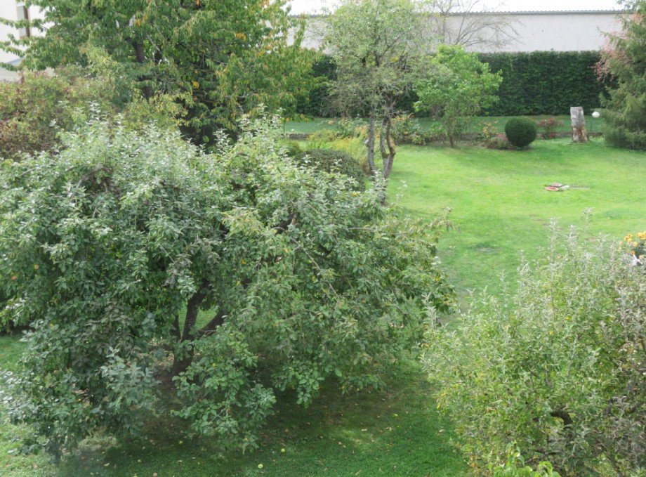 4 Blick ins Gr�ne Kopie Wohnung Bamberg