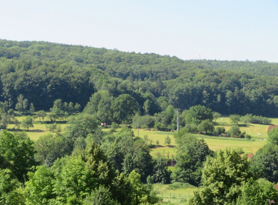 3 Blick ins Gr�ne Haus Hirschaid
