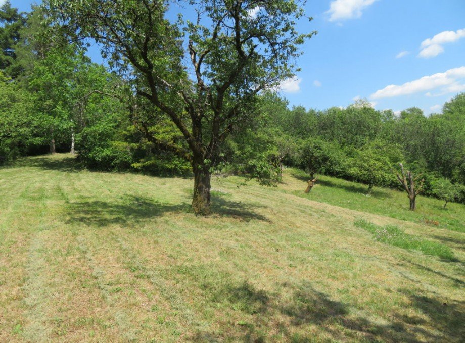 13 Grundst�ck Freizeitgrundst�ck Hallstadt